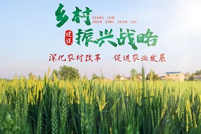【政策解讀】我國加大大型智能農機裝備扶持政策